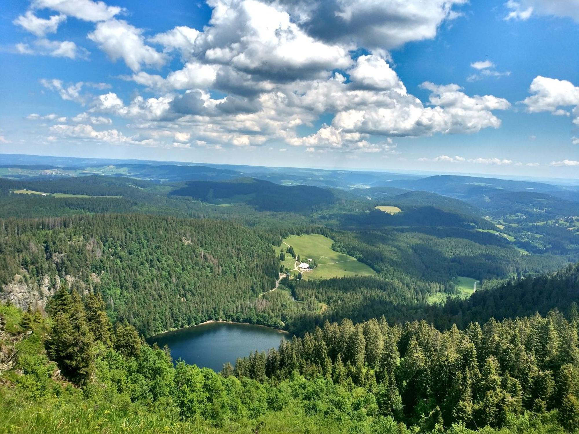 Ferienwohnung Seeblick Nr 2 5-Zimmerwohnung - Feldberg Baerental Rotwasser エクステリア 写真
