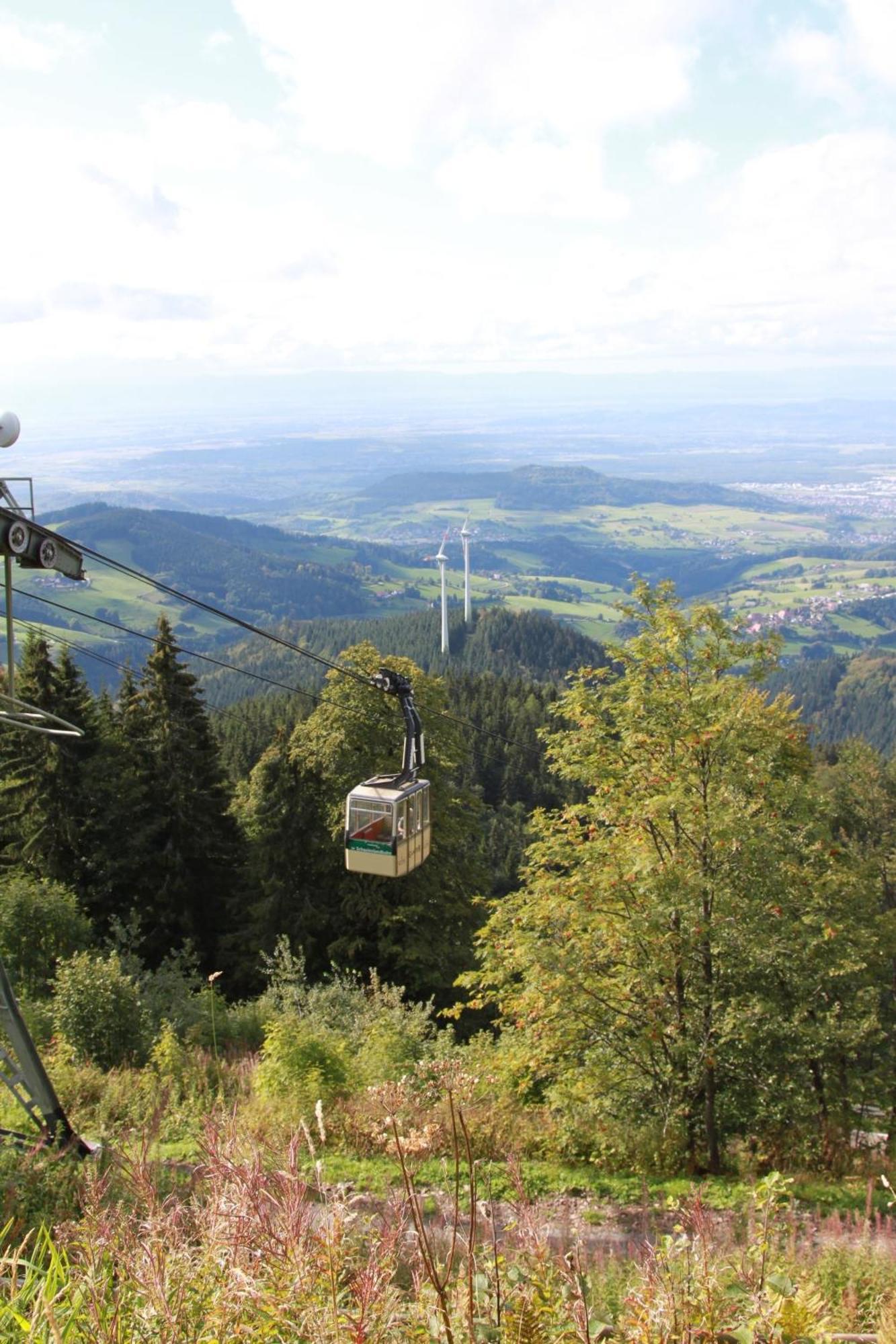 Ferienwohnung Seeblick Nr 2 5-Zimmerwohnung - Feldberg Baerental Rotwasser エクステリア 写真