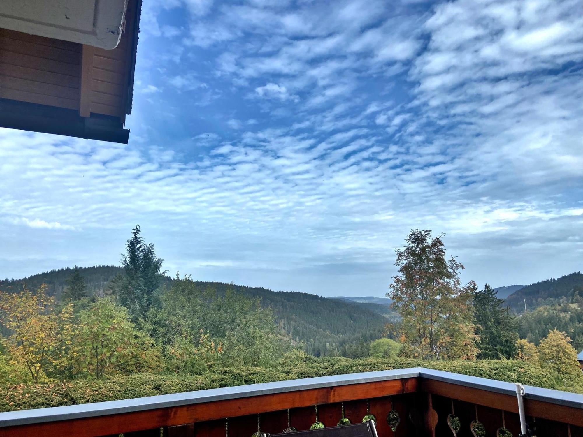 Ferienwohnung Seeblick Nr 2 5-Zimmerwohnung - Feldberg Baerental Rotwasser エクステリア 写真
